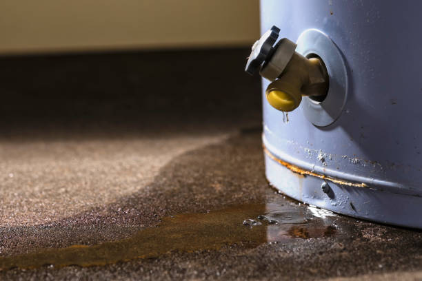Best Water damage restoration near me  in Ridgeland, MS