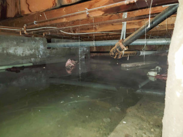 Sewage cleanup and water damage restoration in MS