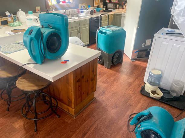 Best Commercial water damage restoration  in Ridgeland, MS