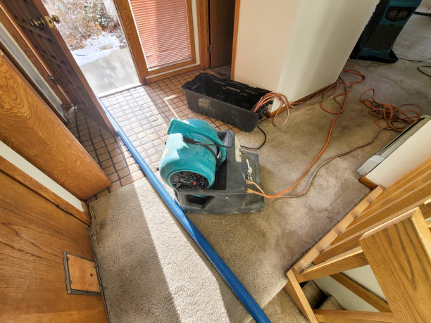 Best Flood restoration services  in Ridgeland, MS