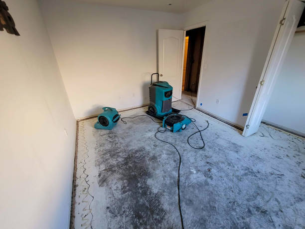 Best Water damage restoration near me  in Ridgeland, MS