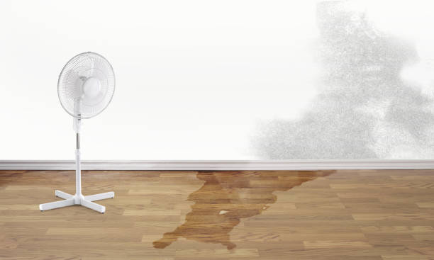 Best 24/7 water damage repair  in Ridgeland, MS