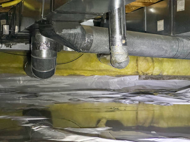 Best Flood damage cleanup  in Ridgeland, MS