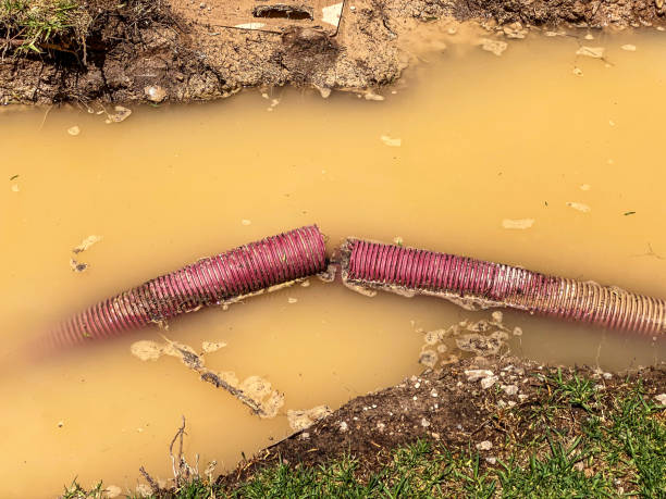 Best Water damage restoration insurance claims  in Ridgeland, MS